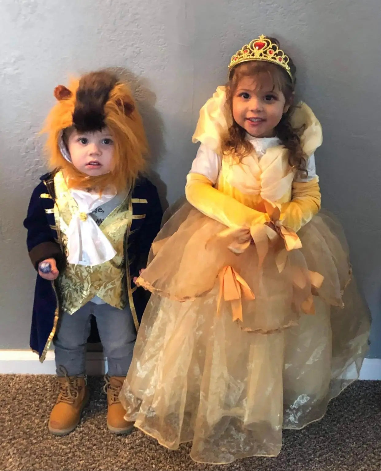 Fantasia Infantil Fera A Bela e a Fera