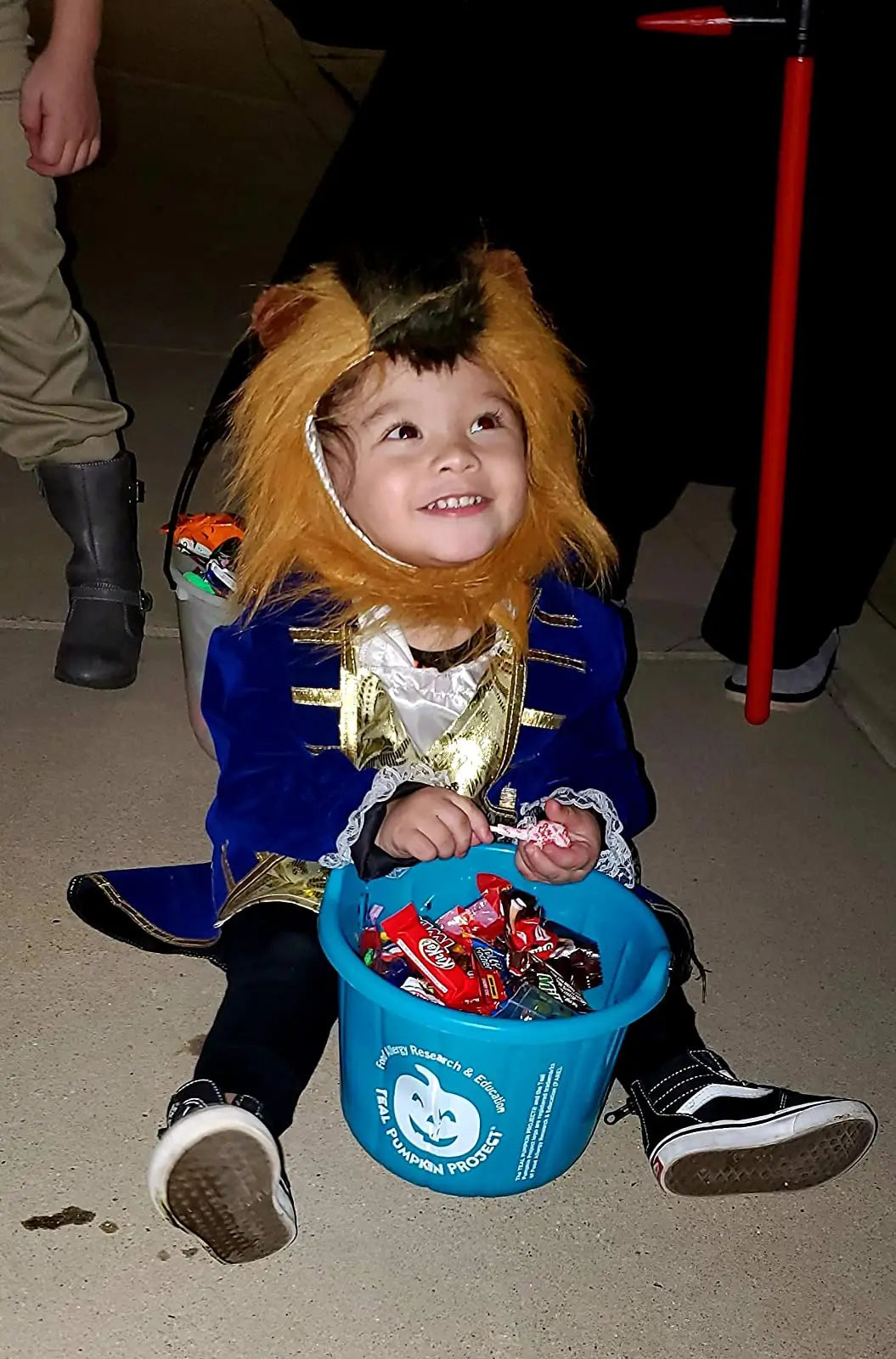 Fantasia Infantil Fera A Bela e a Fera