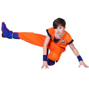 Fantasia Infantil DragonBall Z Goku